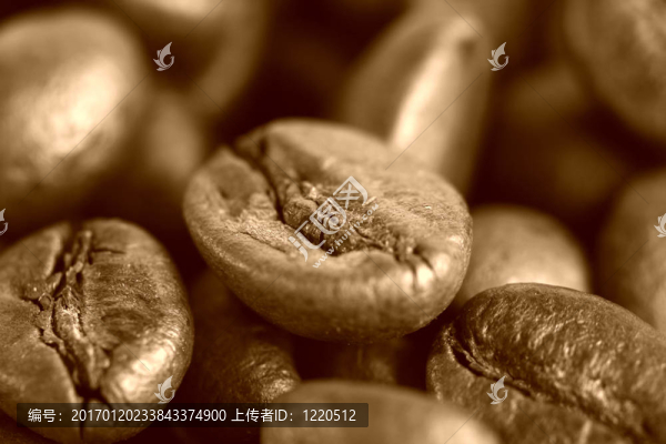 香煎咖啡豆