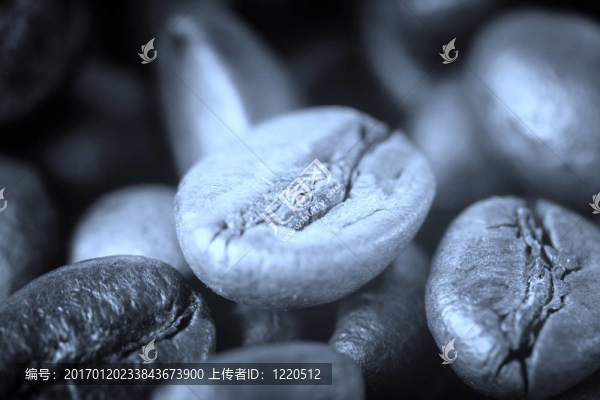 香煎咖啡豆