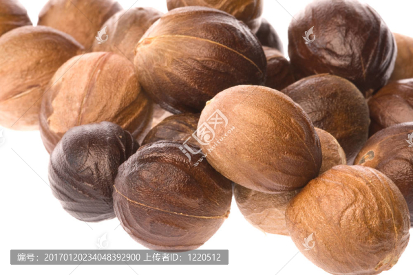 肉豆蔻宏觀分離