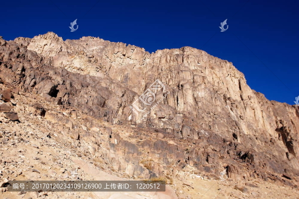 西奈山