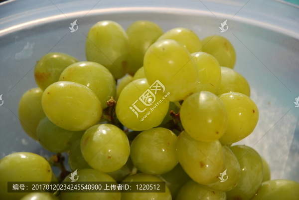 葡萄