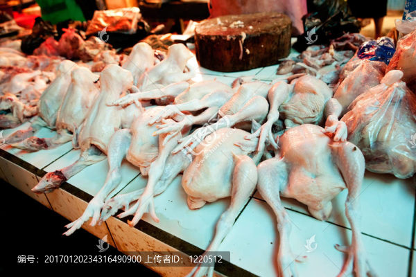 新鮮的生雞肉-匯圖網(wǎng) www.fosd68.com 新鮮的生雞肉