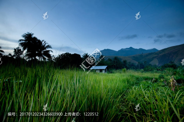 熱帶山地小屋