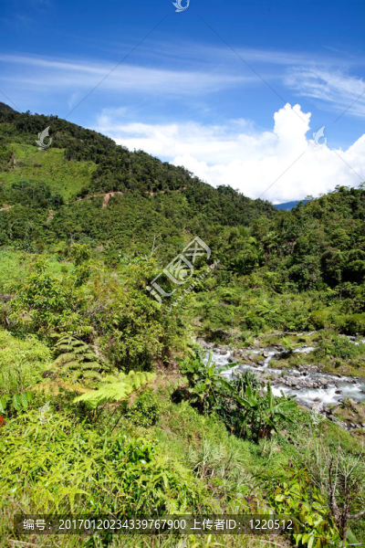 熱帶山地景觀