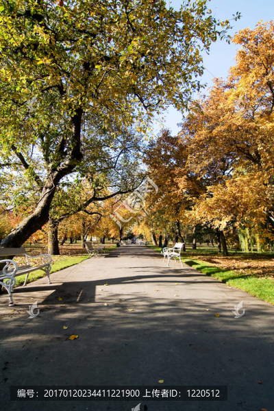 伏加諾威薩迪克公園