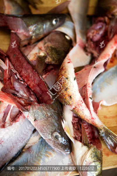 Fish,Guts的細節(jié)