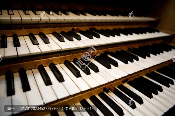 管風(fēng)琴鍵盤