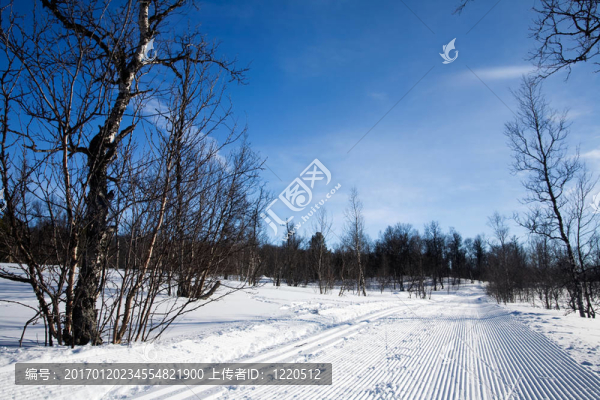 培訓(xùn)的越野滑雪道