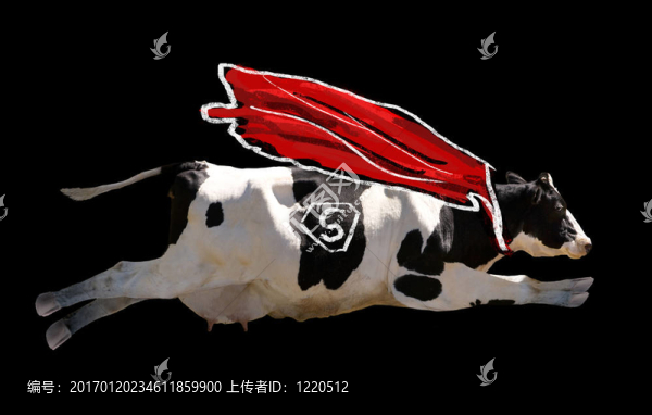 飛牛-匯圖網(wǎng) www.fosd68.com 飛牛