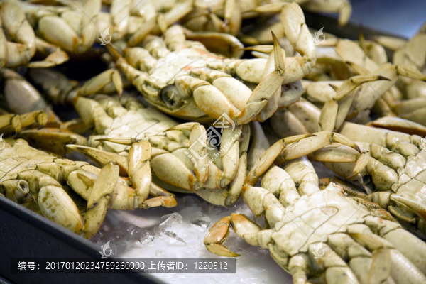 海鮮市場(chǎng)上的螃蟹