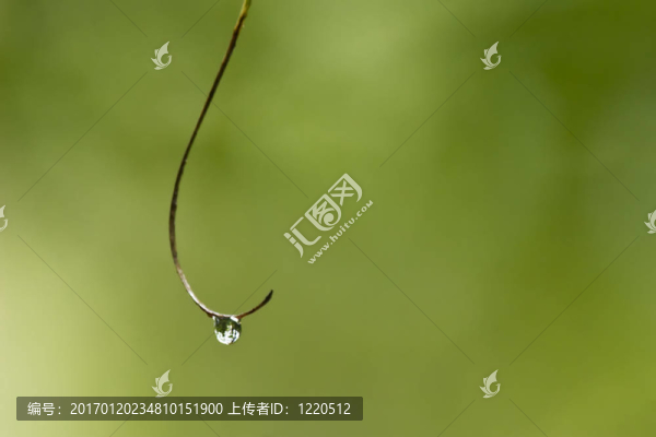 水滴