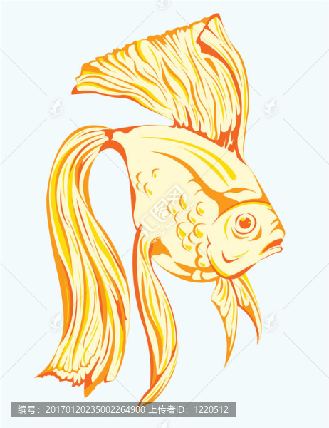 水中的金魚