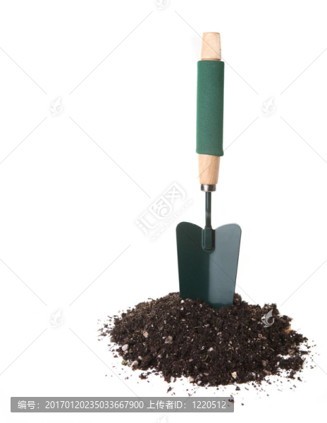 園林鏟工具直立