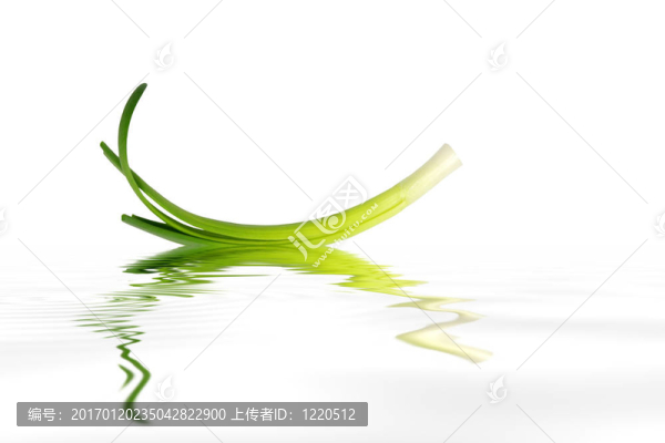 蔥摘要