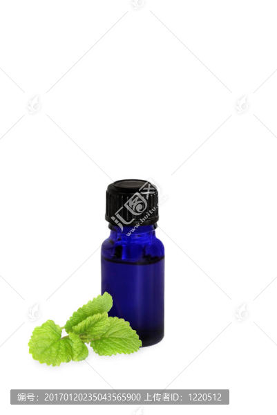 檸檬香草油