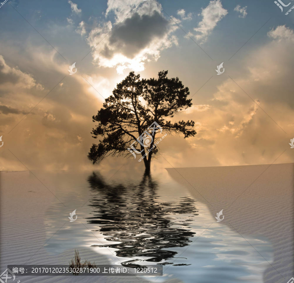 沙漠里的水