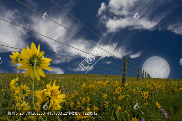 景觀-匯圖網(wǎng) www.fosd68.com 景觀