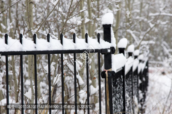 一個有雪的鐵籬笆
