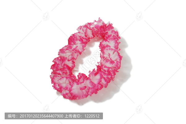 粉紅和白蕾