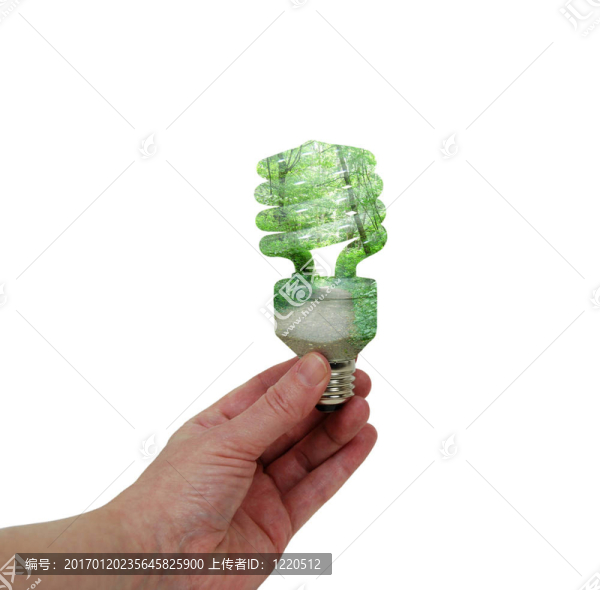 綠色的燈泡