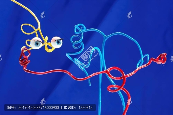新演員。