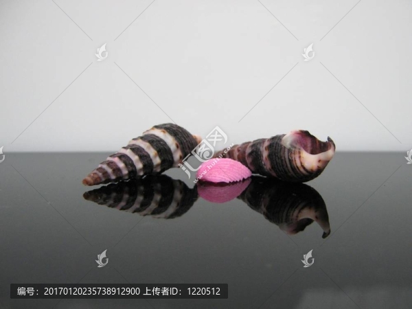海建筑