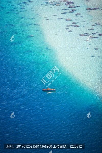 海洋