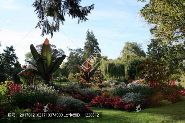 Victoria熱帶花園