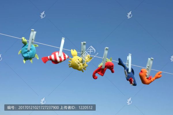 可愛的海洋生物