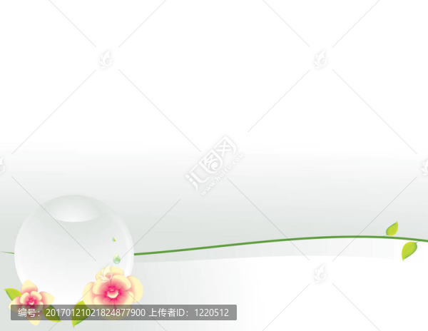 白色背景的花