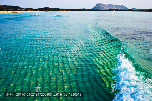 綠色浪潮