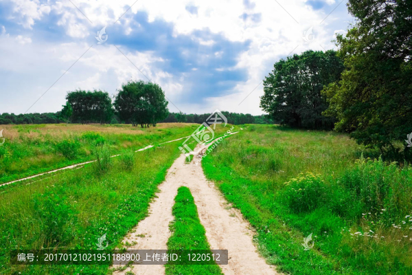 夏天的路