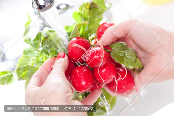 女人洗蘿卜