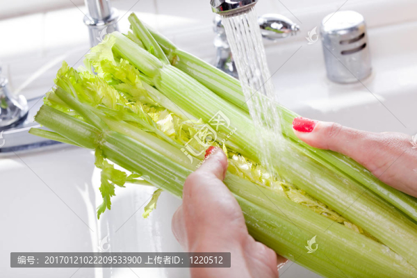 女人洗芹菜