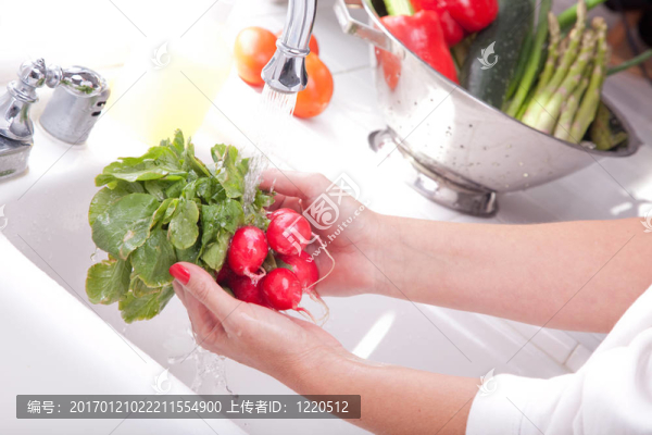 女孩洗蘿卜