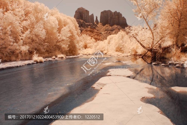 沙漠里的河