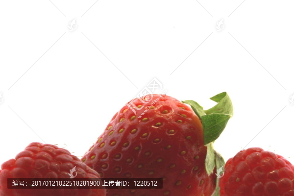 草莓和覆盆子
