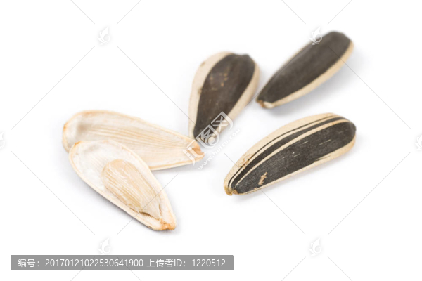 葵花籽