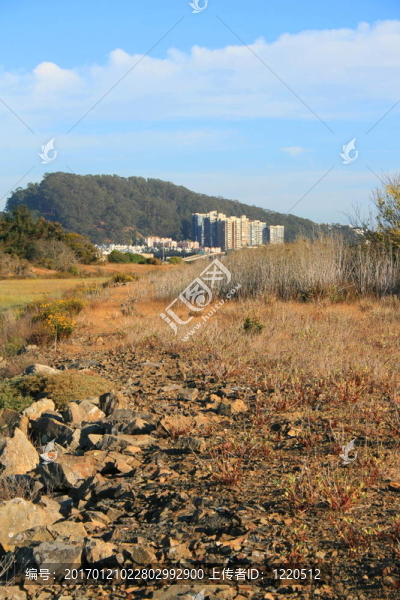 地平線上的建筑