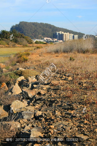 地平線上的建筑