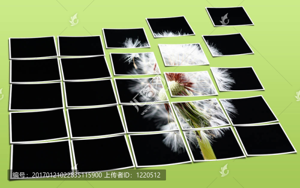 蒲公英-匯圖網(wǎng) www.fosd68.com 蒲公英