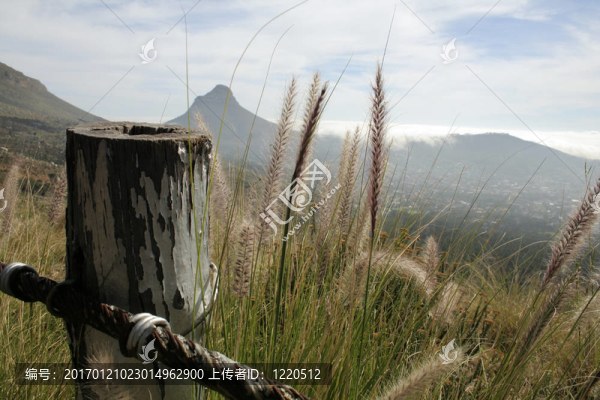 邊緣的草-匯圖網(wǎng) www.fosd68.com 邊緣的草