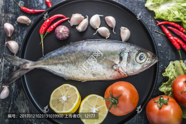 魚肉