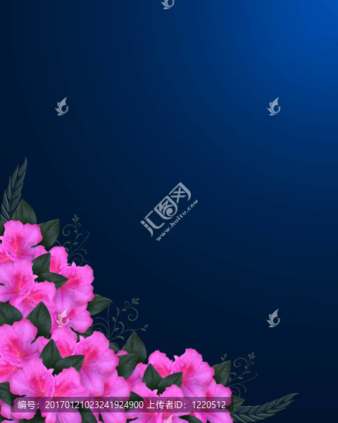 邀請邊境粉紅色杜鵑