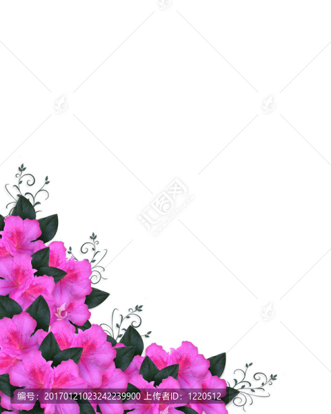 邀請(qǐng)邊境粉紅色杜鵑