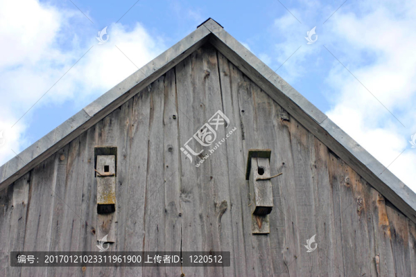 兩個鳥窩