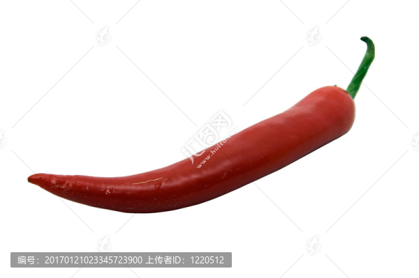 紅辣椒