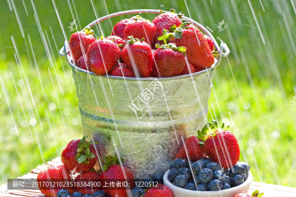 雨中的新鮮草莓