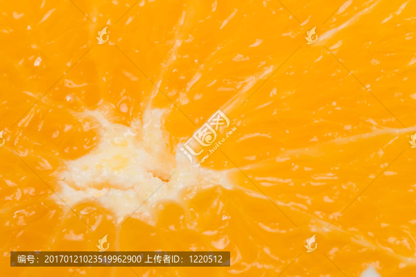 新鮮有機(jī)橙片