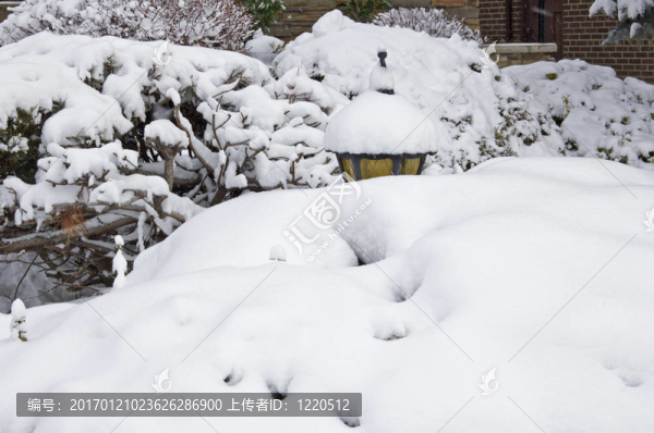 街上的雪
